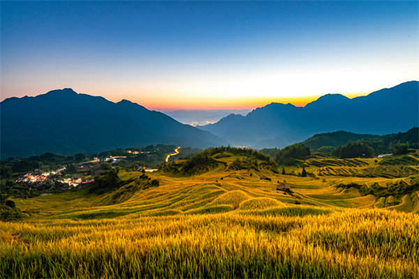 定制化管理咨詢方案：麗水企業(yè)轉(zhuǎn)型升級(jí)的鑰匙？