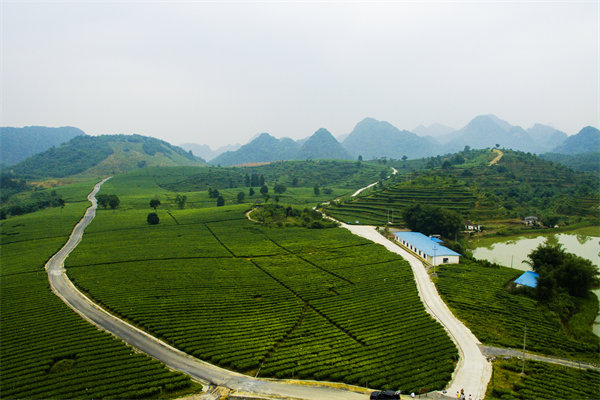清遠年度經(jīng)營計劃咨詢公司如何助企業(yè)精準(zhǔn)規(guī)劃？