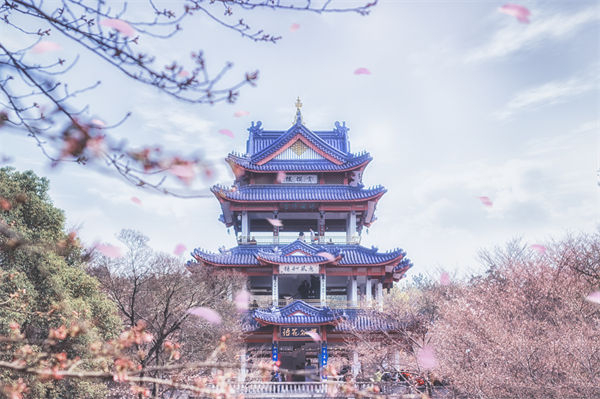 供應(yīng)鏈成本居高不下，無錫供應(yīng)鏈咨詢公司如何精準(zhǔn)砍出利潤空間？
