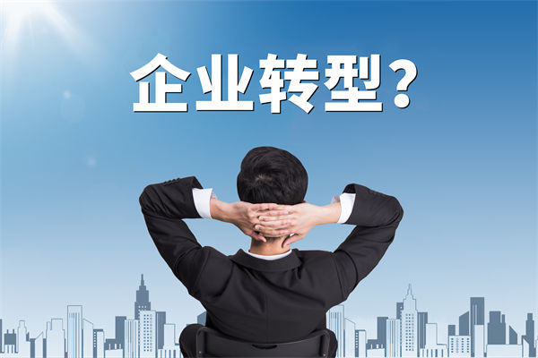 企業(yè)轉(zhuǎn)型無方向，數(shù)智化咨詢公司能否指引明路？