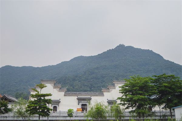 子公司各自為戰(zhàn)內耗大，佛山集團管控咨詢公司有何整合之道？