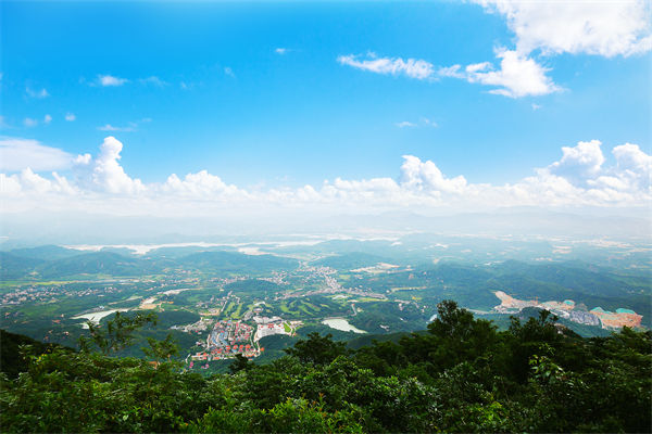 企業(yè)戰(zhàn)略飄在半空落地難，惠州戰(zhàn)略咨詢(xún)公司能錨定方向嗎？