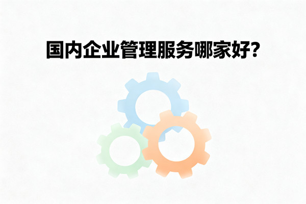 國內(nèi)企業(yè)管理服務(wù)哪家好？