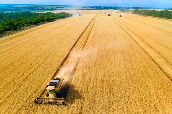 農(nóng)業(yè)行業(yè)供應(yīng)鏈管理咨詢公司推薦，能解農(nóng)資采購(gòu)成本高問(wèn)題嗎？